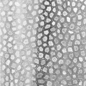 Silver Mosaic Foil 7.5in x 150ft Wrapping Paper Roll JT5428, MPN: JT5428,