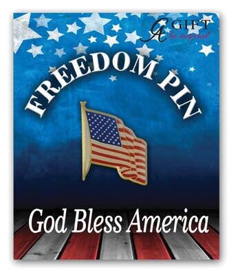 United States Flag Pin GM21244, MPN: GM21244, 785525057936
