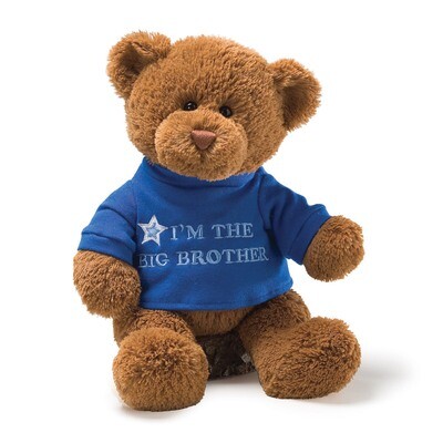 Gund I&#39;m The Big Brother Plush Bear GM9753, MPN: GM9753, 283990116504