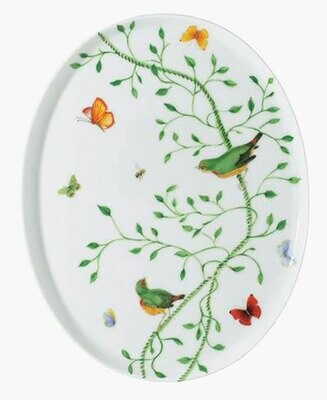 Raynaud Histoire Naturelle Oval Tray, MPN: 0205-33-619021, 3660006528679