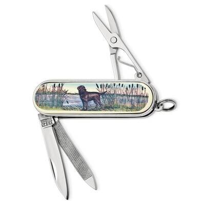 Barlow Designs Color Lab In Reeds Pocket Knife GM24057, MPN: GM24057, 617414636055