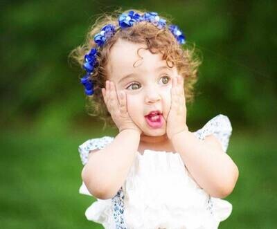 Baby Flower Crown Toddler Flower Crown Royal Blue Flower Crown Girls Flower Crown Floral Crown Wrea…
