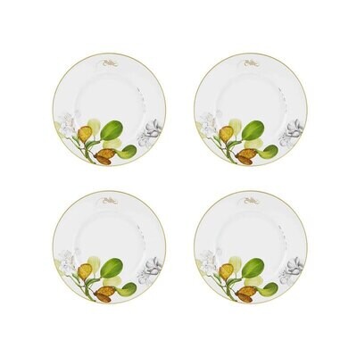 Vista Alegre Amazonia Dinner Plate Set of 4 21136644, MPN: 21136644, 5605414059429