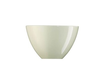 Arzberg Profi Silk Bowl Decoration Outside 5 in, MPN: 49600-670170-13376, UPC: 790955974715