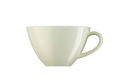 Arzberg Profi Silk Tea Saucer 6 1/4 in, MPN: 49600-670170-14766, UPC: 790955976436
