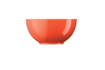 Arzberg Tric Hot Bowl Round Decoration Outside 4 3/4 in, MPN: 49700-670186-13312, UPC: 790955984400