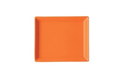 Arzberg Tric Fresh Platter Rectangular 4 3/4 X 6 in, MPN: 49700-670203-12201, UPC: 790955985285