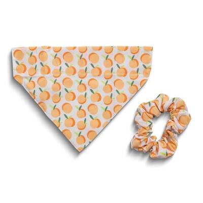 Peach Bandana and Scrunchie Pet Set GM25028, MPN: GM25028, 698904510901