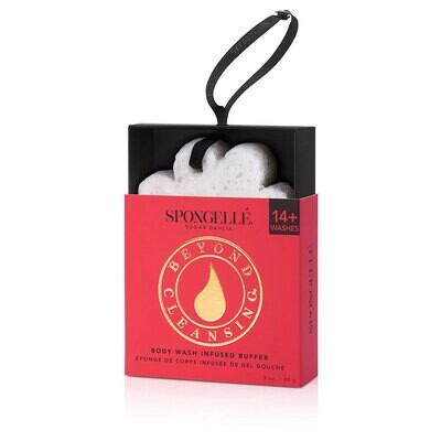 Spongelle Boxed White Flower Sugar Dahlia Pack of 6 AST-BCDBSD