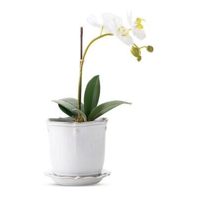 Juliska Berry &amp; Thread Whitewash 5.25 Inch Planter &amp; Saucer JA136/W, MPN: JA136/W, 810034834119