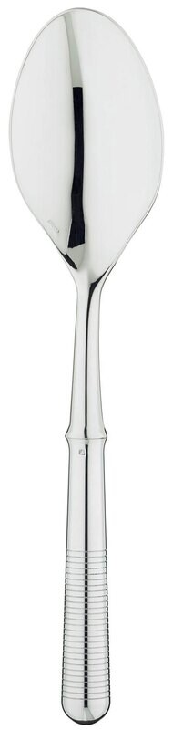 Ercuis Transat Serving Spoon Silver Plated F650820-41, MPN: F650820-41, 3660656859376