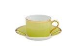 Robert Haviland Arc En Ciel Almond Green Tea Cup and Saucer HP68322, MPN: HP68322,