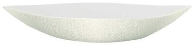 Raynaud Mineral Irise Shell Ivory Dish N1, MPN: 0338-23-513058, 3660006671665