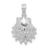 Lions Paw Shell Pendant Sterling Silver Polished QC9827, MPN: QC9827, 637218145997