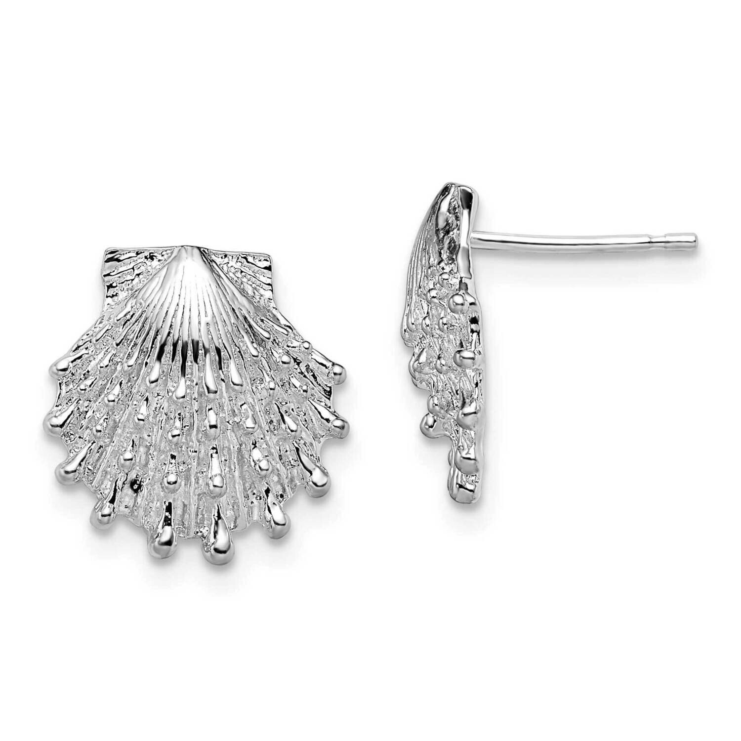 Lions Paw Shell Post Earrings Sterling Silver Polished QE15516, MPN: QE15516, 637218178056
