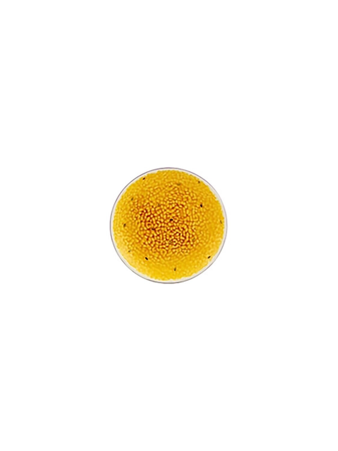 Bordallo Pinheiro Pinheiro Tropical Fruits Passion Fruit Dessert Plate


 65029334, MPN: 65029334,