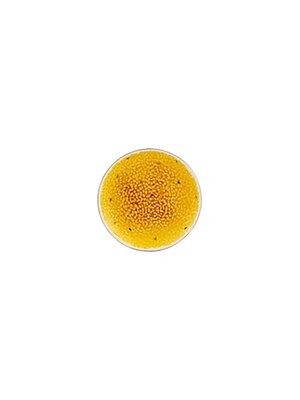 Bordallo Pinheiro Pinheiro Tropical Fruits Passion Fruit Dessert Plate


 65029334, MPN: 65029334,