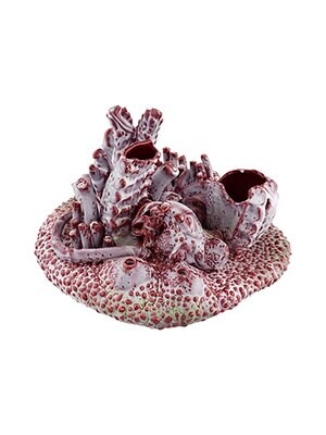Bordallo Pinheiro Pinheiro Wwb Deep Coral Reef 65029711, MPN: 65029711,