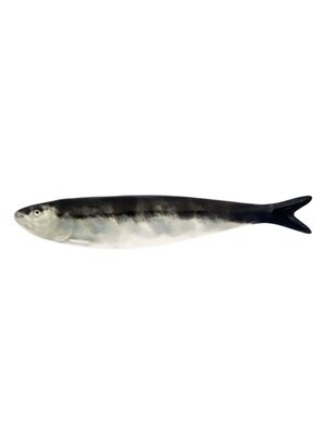 Bordallo Pinheiro Pinheiro Sardines Sardine Natural 65004088, MPN: 65004088,