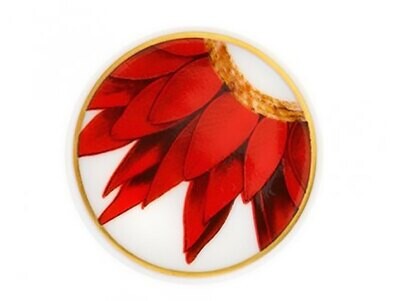 Vista Alegre Amazonia Piman Cocar 21136611, MPN: 21136611,