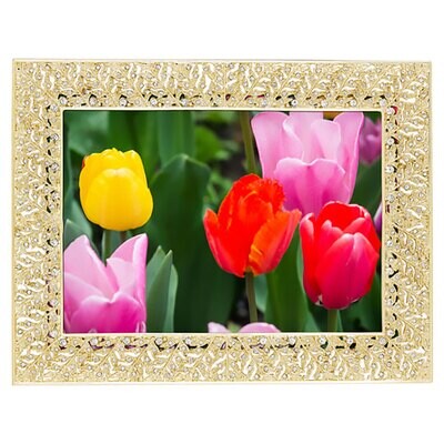 Olivia Riegel Gold Florence 5&quot; x 7&quot; Picture Frame RT4526, MPN: RT4526, 851090000704