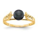 6mm Black Fresh Water Cultured Pearl Ring 14k Gold Y1845BP, MPN: Y1845BP, 883957053530