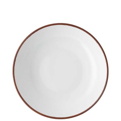 Rosenthal Profi Easy Earth Gourmet Plate Serving Bowl Shallow 10 5/8 Inch 10660-405402-10784, MPN: …
