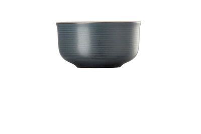 Thomas Nature Ocean Cereal Bowl Small 5 Inch 21730-227080-60720, MPN: 21730-227080-60720, 790955300…