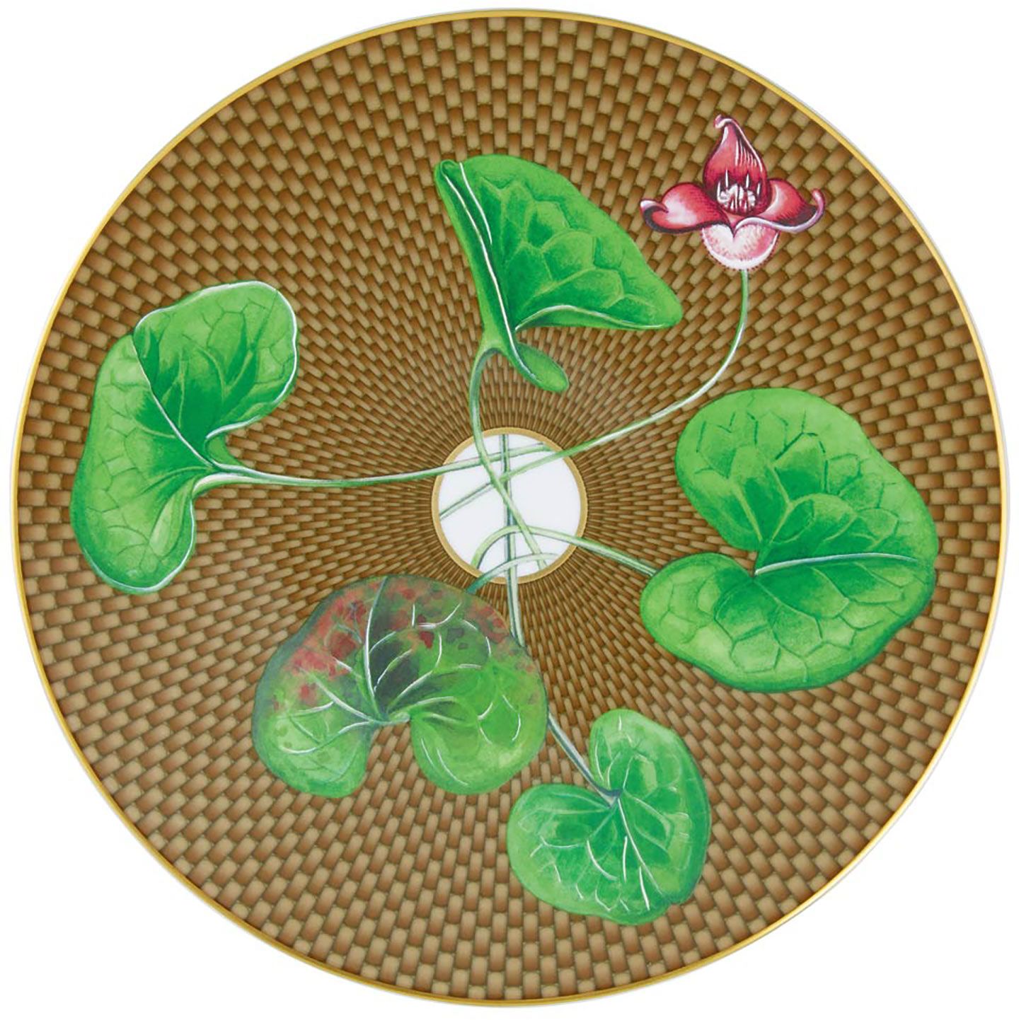 Raynaud Tresor Fleuri Marron Asarum Dessert Plate D-8.7 Inch Gift Box 0657-37-113022, MPN: 0657-37-…
