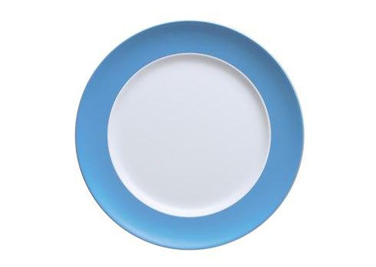 Thomas Sunny Day Waterblue Dinner Plate Round 10 1/2 Inch 10850-408530-10227, MPN: 10850-408530-102…