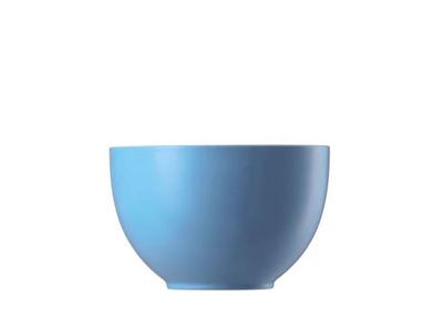 Thomas Sunny Day Waterblue Fruit Cereal Bowl Round 4 3/4 Inch 10850-408530-15456, MPN: 10850-408530…