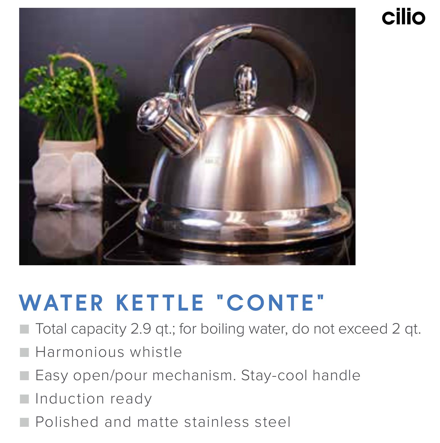 Frieling Conte Whistling Water Kettle Stainless Steel 2.9 Qt., MPN: C430325, UPC/EAN: 4017166430325