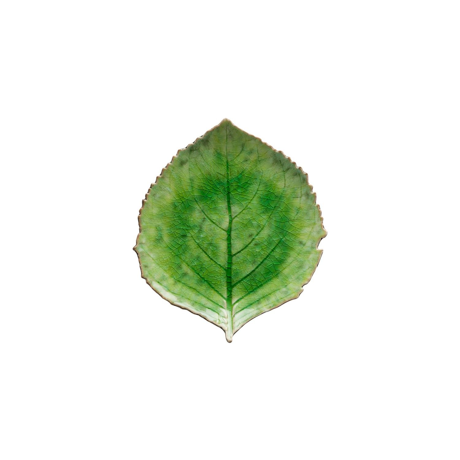 Costa Nova Riviera Tomate Hydrangea Leaf 9 Inch, VEP221-TMT, 5606739934750