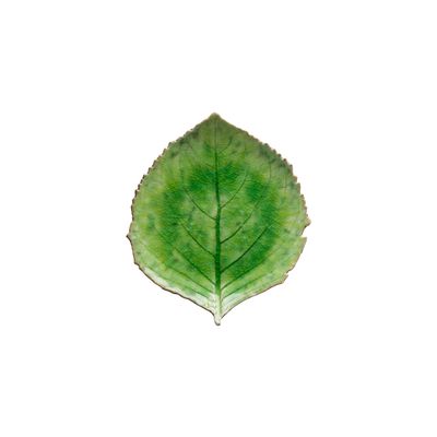 Costa Nova Riviera Tomate Hydrangea Leaf 9 Inch, VEP221-TMT, 5606739934750