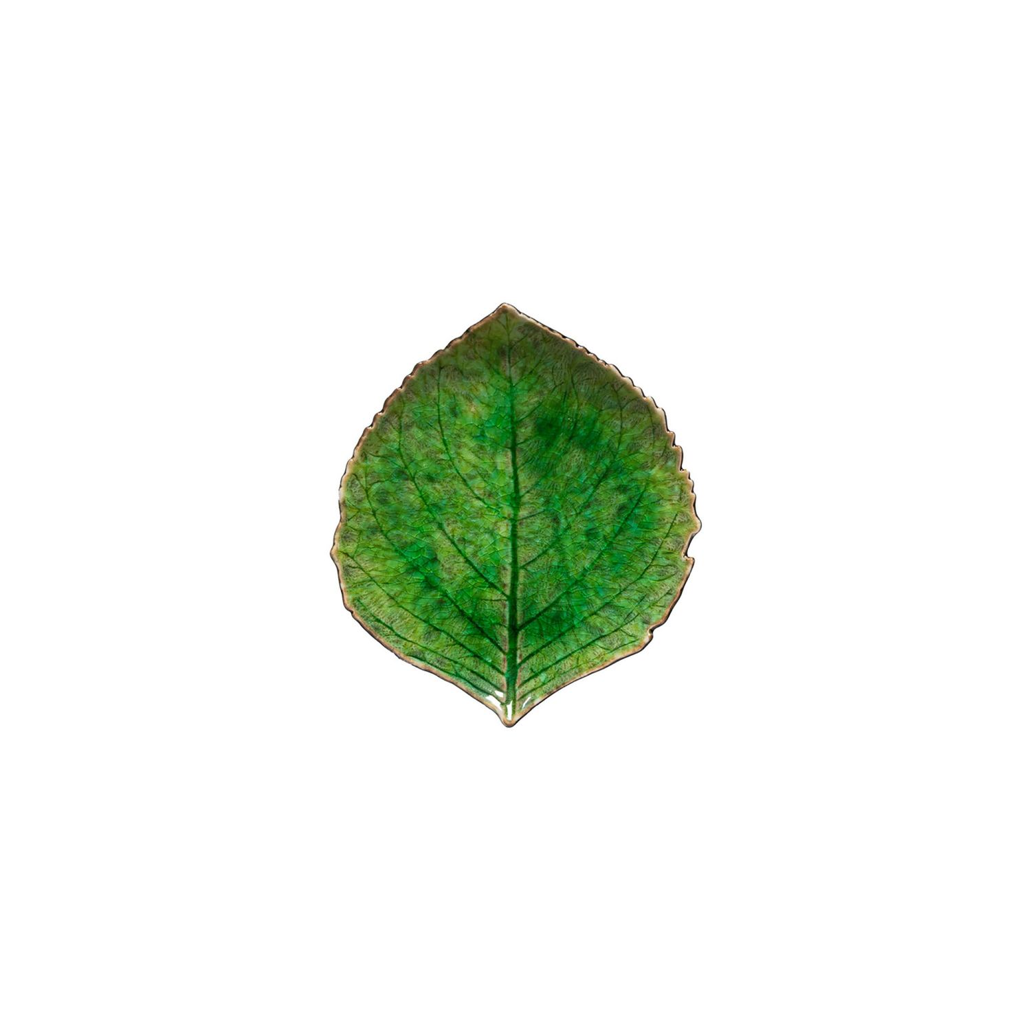 Costa Nova Riviera Tomate Small Hydrangea Leaf 7 Inch, VEP171-TMT, 5606739957681