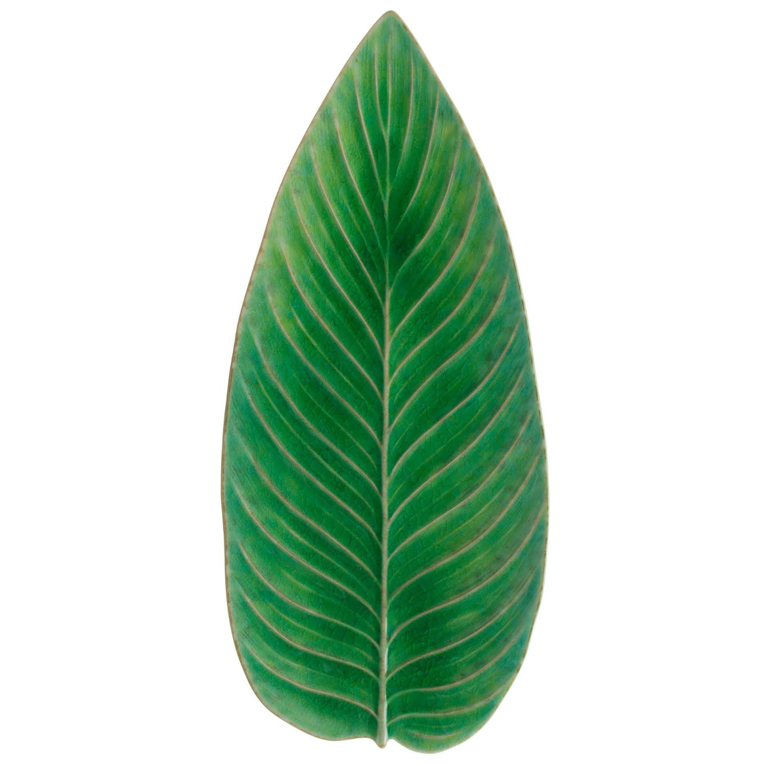 Costa Nova Riviera Tomate Strelizia Leaf, VEA401-TMT, 5606739952341