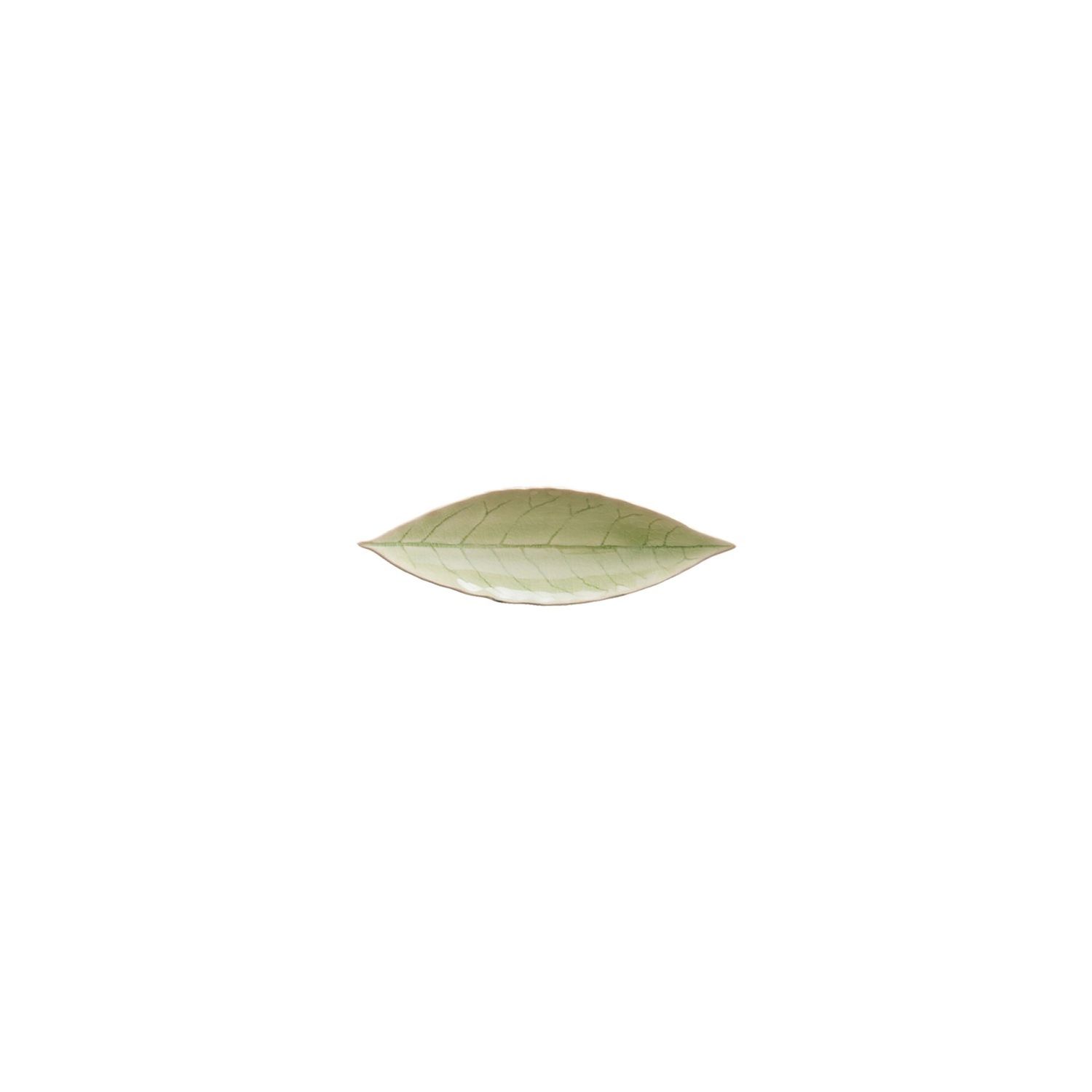 Costa Nova Riviera Vert Frais 7 Inch Laurel Leaf, VEP182-VRF, 5606739934781