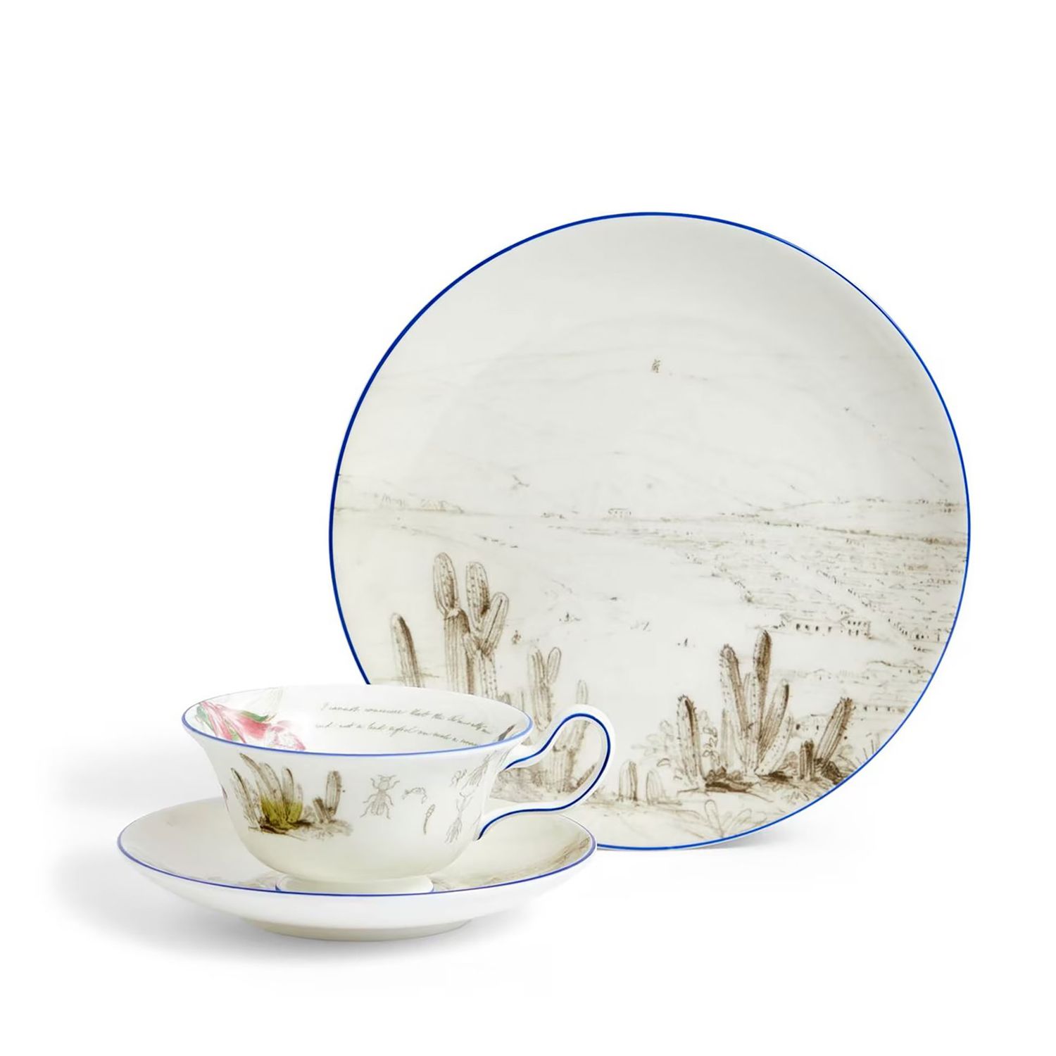 Wedgwood Darwin Voyage of The Beagle Chile Teacup Saucer Plate 3 Pieces 1071812, 701587481410
