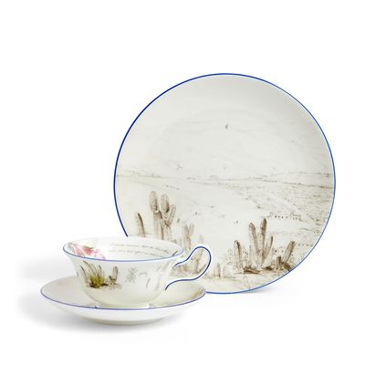 Wedgwood Darwin Voyage of The Beagle Chile Teacup Saucer Plate 3 Pieces 1071812, 701587481410