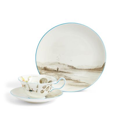 Wedgwood Darwin Voyage of The Beagle Patagonia Teacup Saucer Plate 3 Pieces 1071811, 701587481403