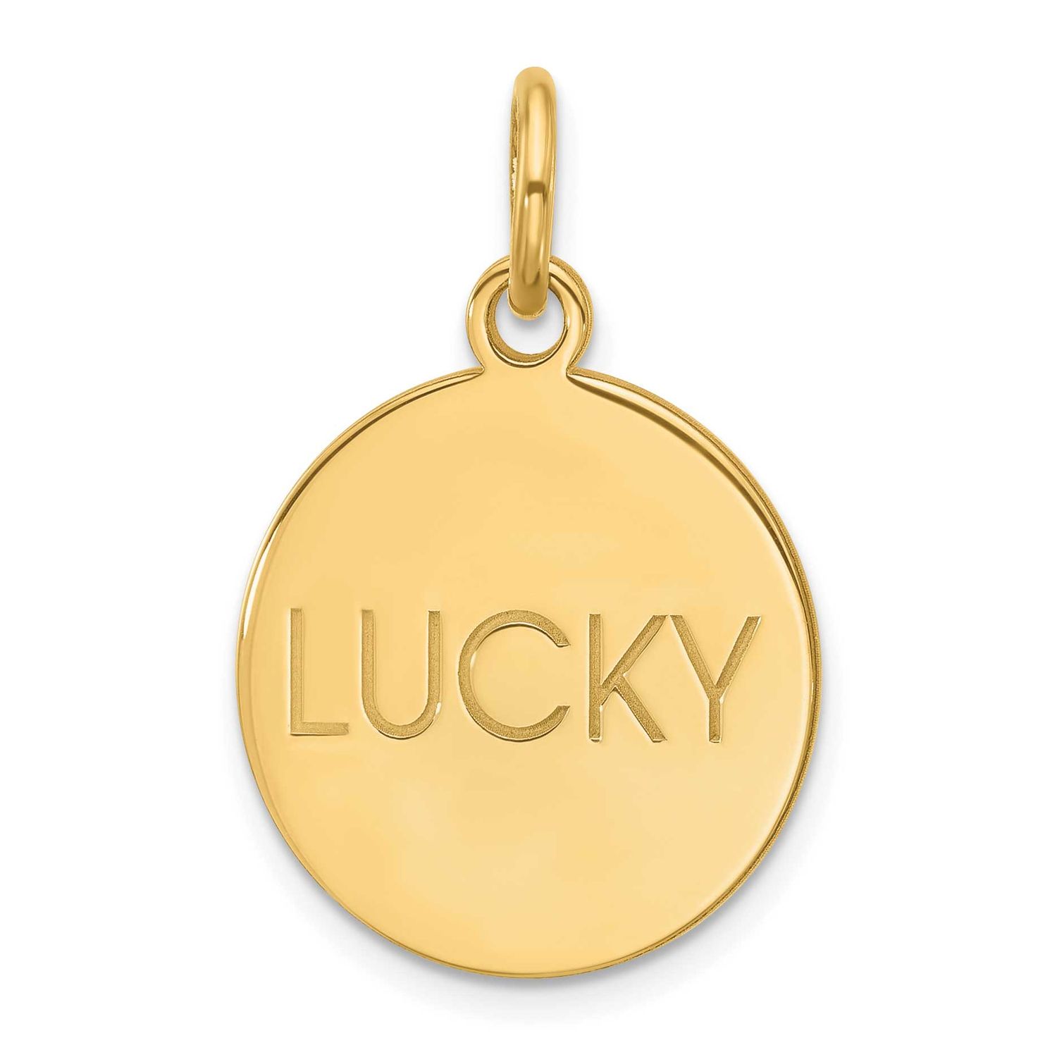 Large Round Animal Information Tag Sterling Silver Gold-plated XNA1549GP