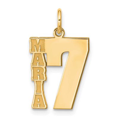 Name and Number Charm Sterling Silver Gold-plated XNA1482GP