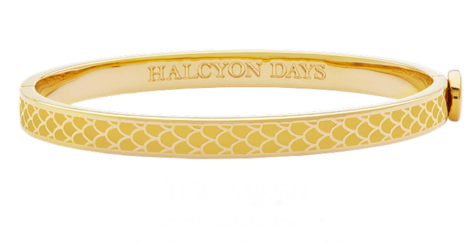 Halcyon Days 6mm Salamander Radiant Yellow Gold Hinged Bangle HBSSA4906G, 5055273107197