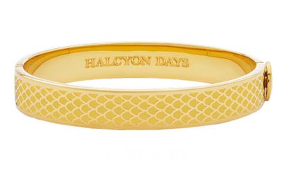 Halcyon Days 1cm Salamander Radiant Yellow Gold Hinged Bangle HBSAL4910G, 5055273107142