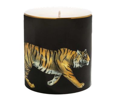Halcyon Days Tiger Jasmine Unlidded Candle BCMWT02CAG, 5060171153573