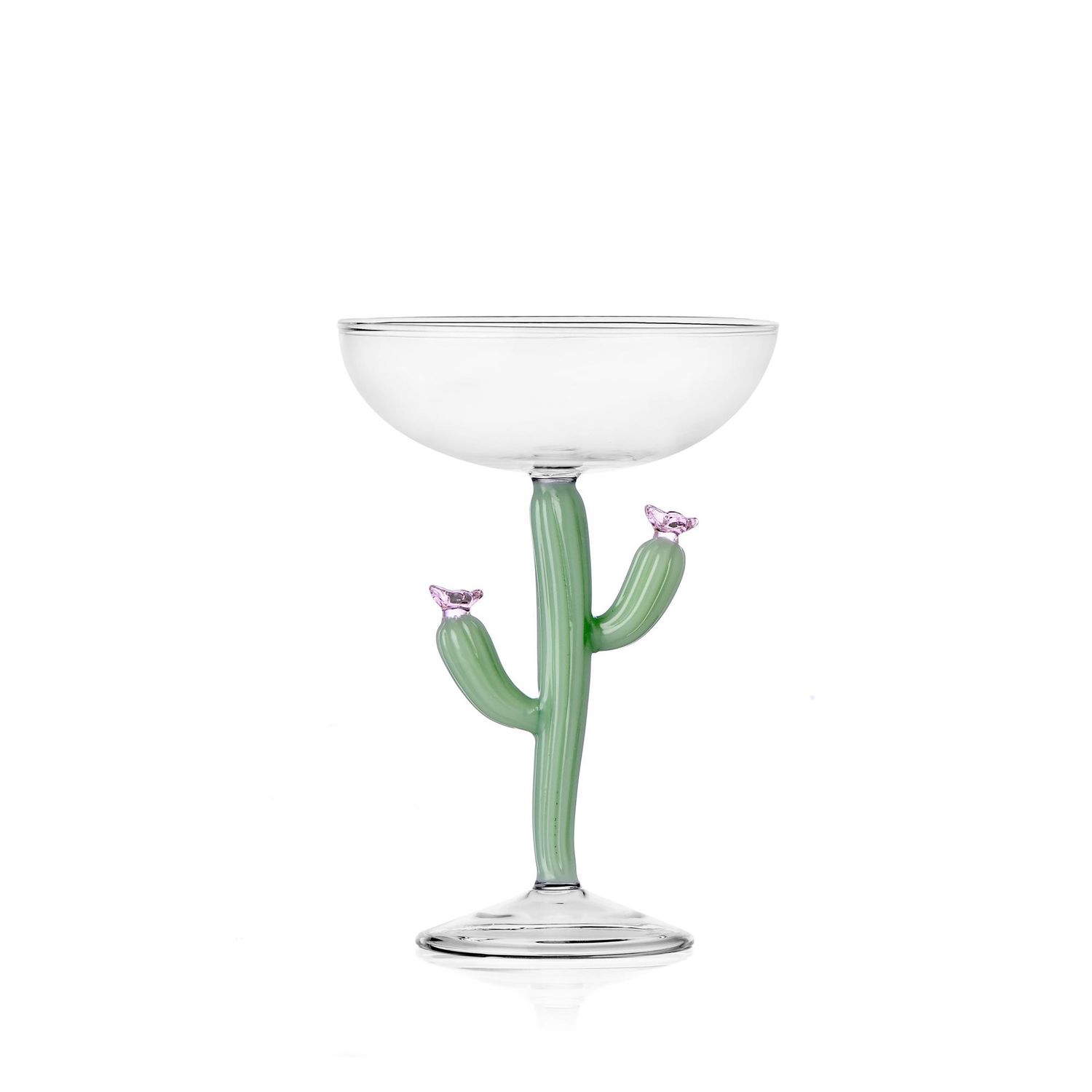 Ichendorf Desert Plants Champagne Bowl Cactus matte Green 9.5 oz IC354.319, 790955304932, 803239706…