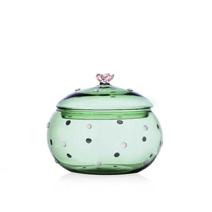 Ichendorf Desert Plants Box Green Cactus Pink Flower 4.3 Inch IC352.250, 790955314658, 8032397067627