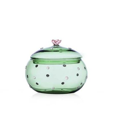 Ichendorf Desert Plants Box Green Cactus Pink Flower 4.3 Inch IC352.250, 790955314658, 8032397067627