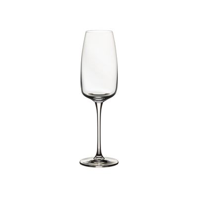 Costa Nova Isabel Clear Flute Glass, V10350-CLR, 5606739975708