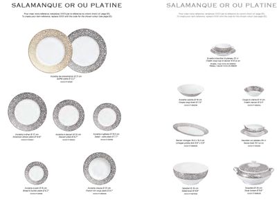 Raynaud Salamanque Platinum Dessert Plate 0473-17-101022, MPN: 0473-17-101022, 3660006631430